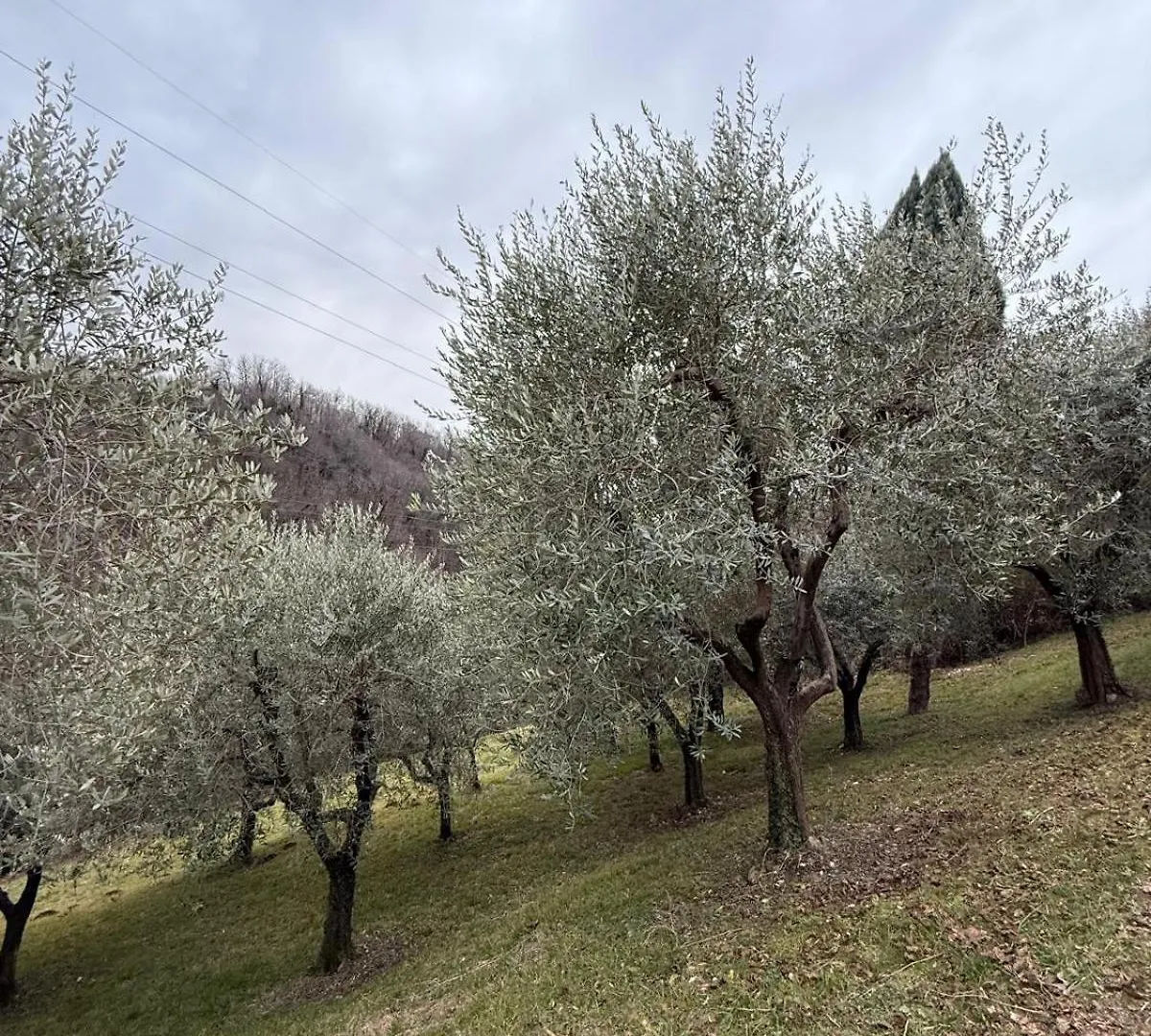 Casa Vacanze Reve Possagno Italy